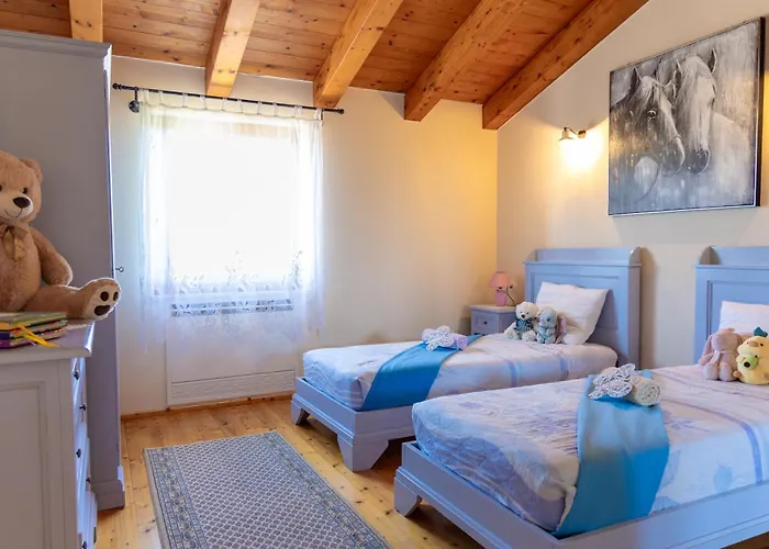 Villa Anita By Istrialux Hrboki